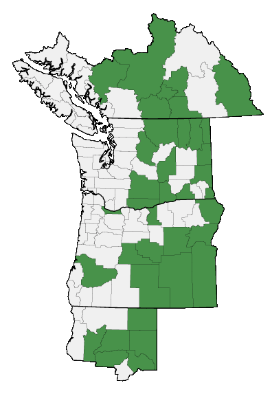 Map of where plant is found