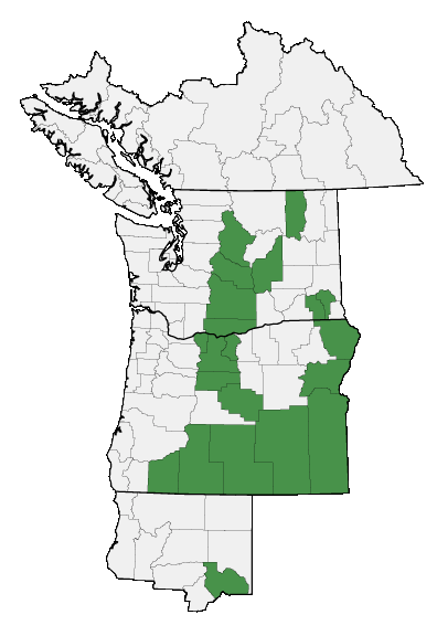 Map of where plant is found