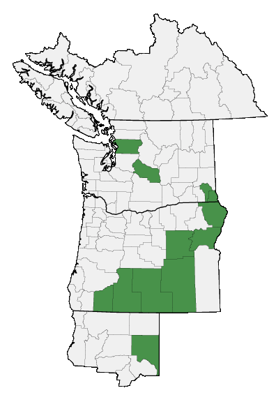 Map of where plant is found