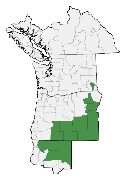 Map of where plant is found