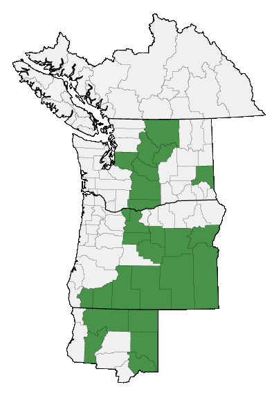 Map of where plant is found