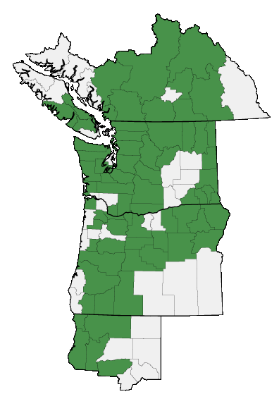 Map of where plant is found