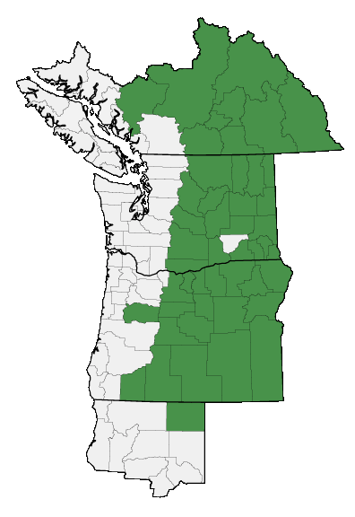 Map of where plant is found