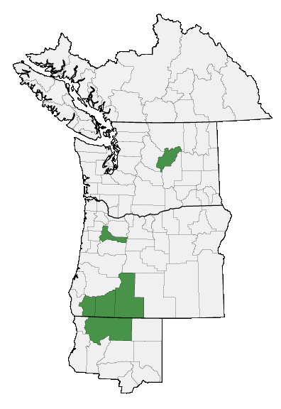 Map of where plant is found