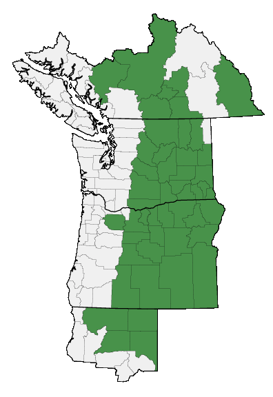 Map of where plant is found