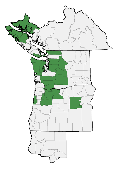 Map of where plant is found