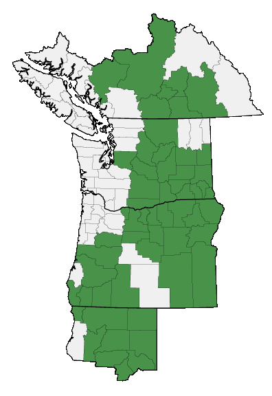 Map of where plant is found