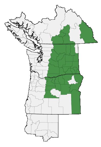 Map of where plant is found