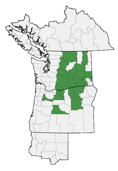 Map of where plant is found