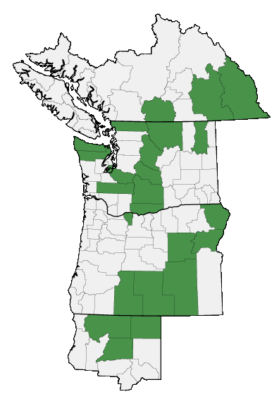 Map of where plant is found