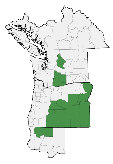 Map of where plant is found