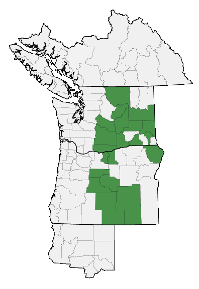 Map of where plant is found