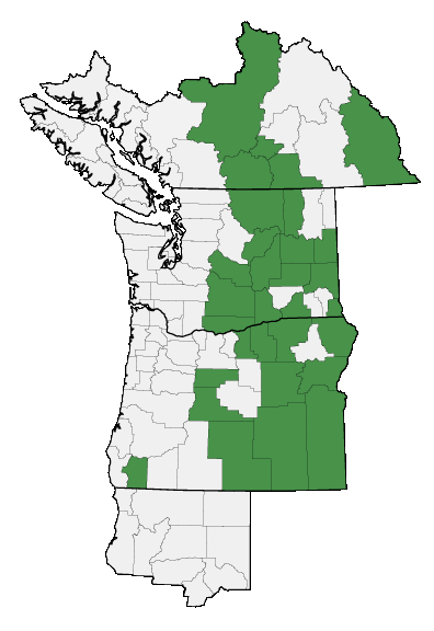 Map of where plant is found