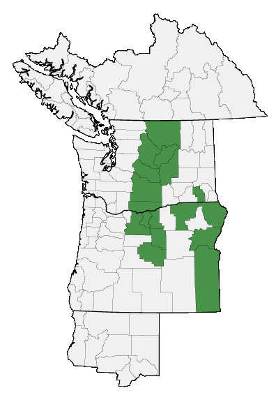 Map of where plant is found