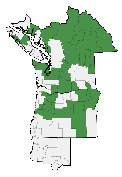 Map of where plant is found