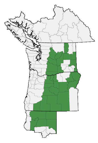 Map of where plant is found