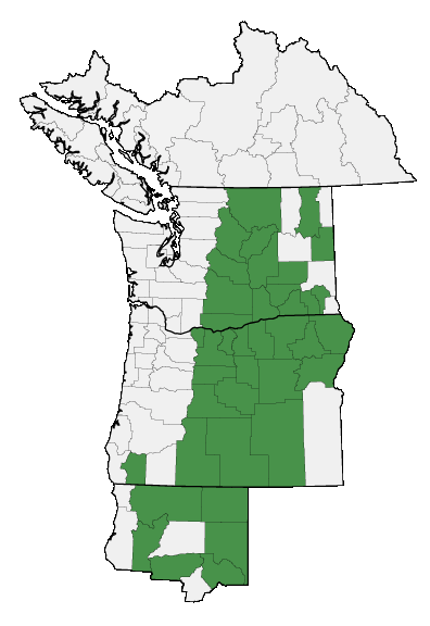 Map of where plant is found