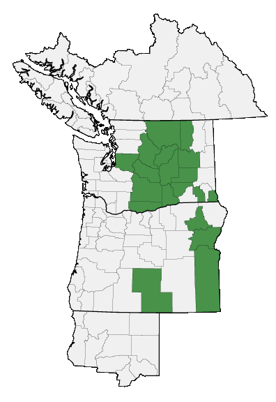 Map of where plant is found