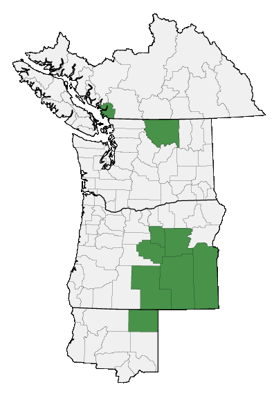 Map of where plant is found