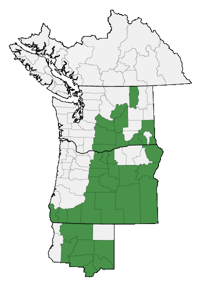 Map of where plant is found