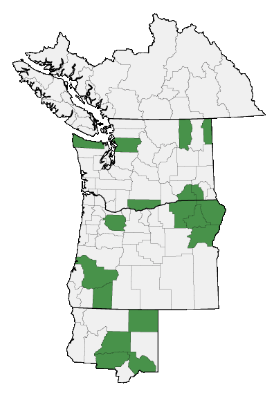 Map of where plant is found