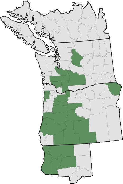 Map of where plant is found