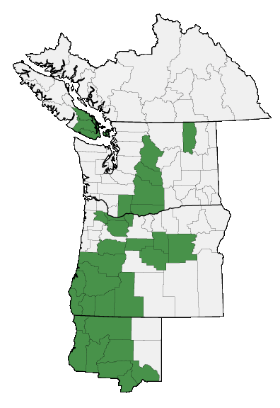 Map of where plant is found