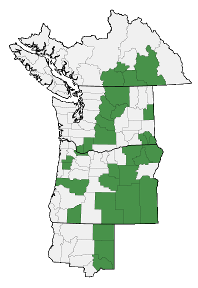 Map of where plant is found