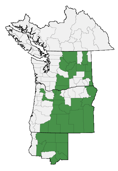 Map of where plant is found