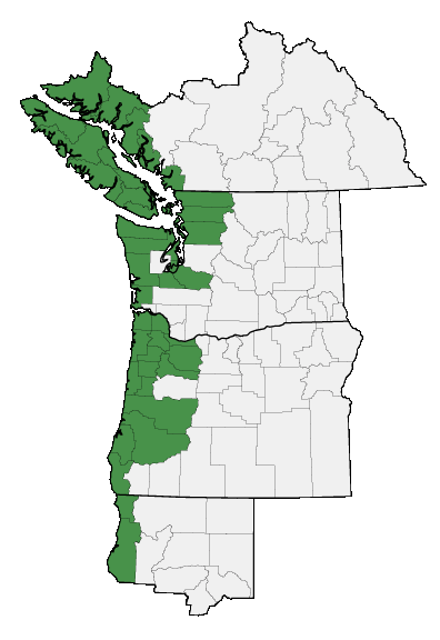 Map of where plant is found