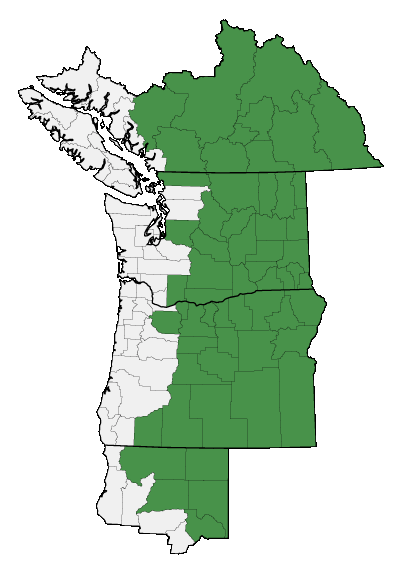 Map of where plant is found