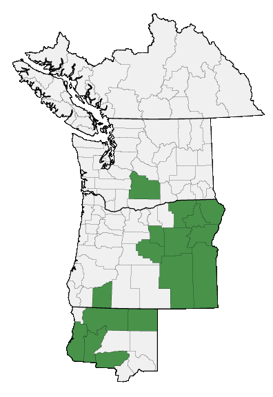 Map of where plant is found