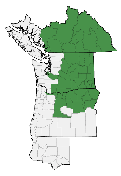 Map of where plant is found