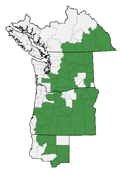 Map of where plant is found