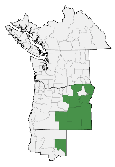 Map of where plant is found