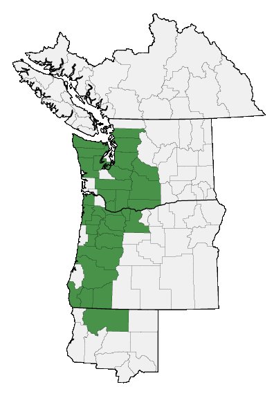 Map of where plant is found