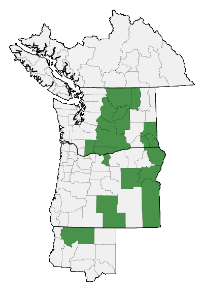 Map of where plant is found