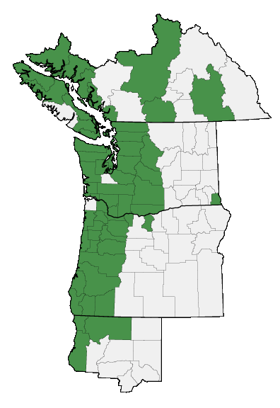 Map of where plant is found