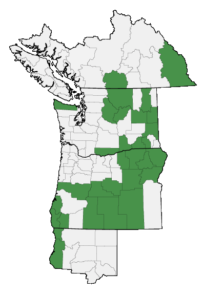 Map of where plant is found