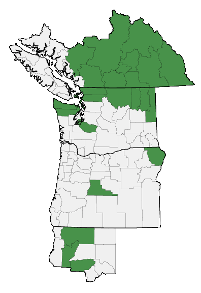 Map of where plant is found