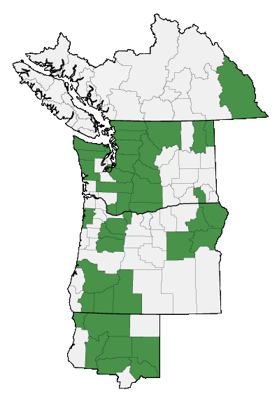 Map of where plant is found