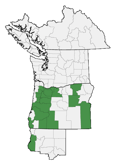 Map of where plant is found