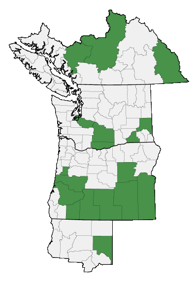 Map of where plant is found