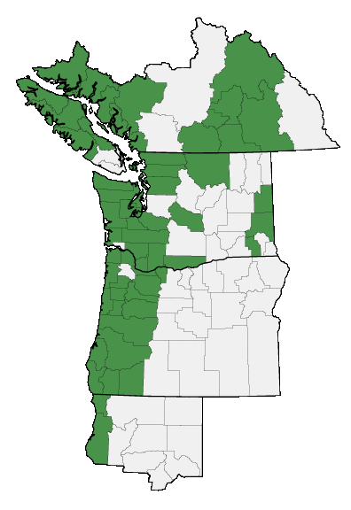 Map of where plant is found