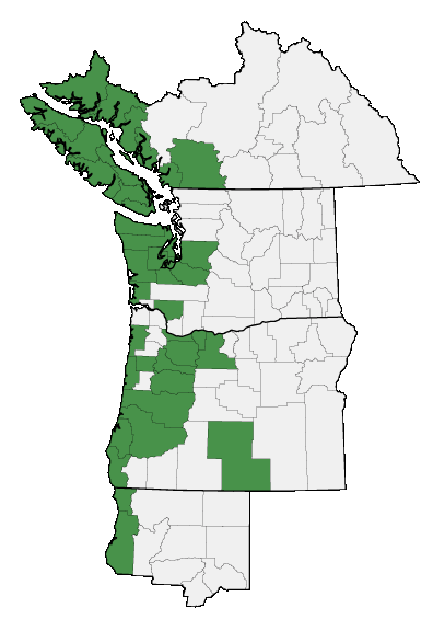 Map of where plant is found