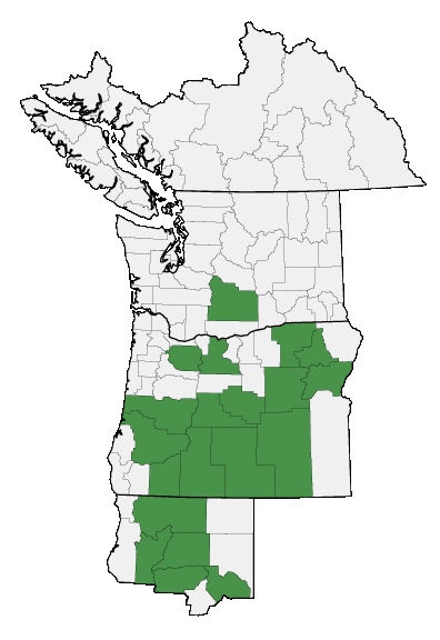 Map of where plant is found