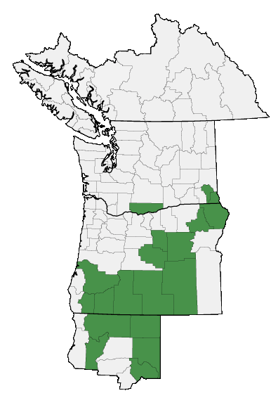 Map of where plant is found