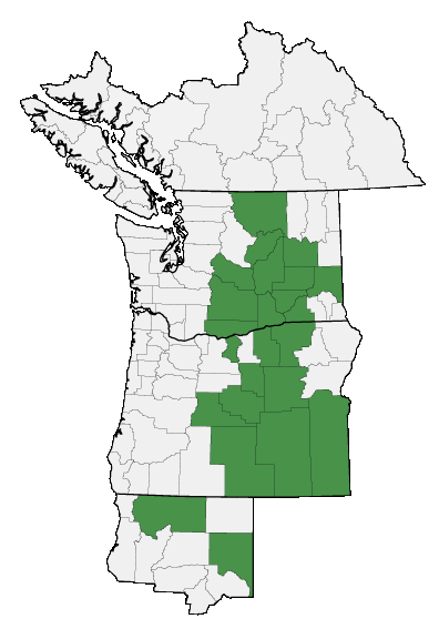 Map of where plant is found