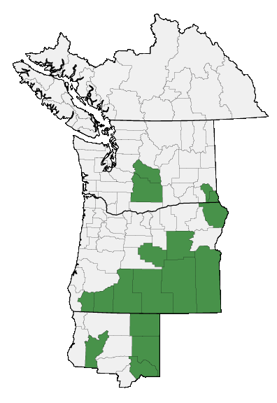 Map of where plant is found