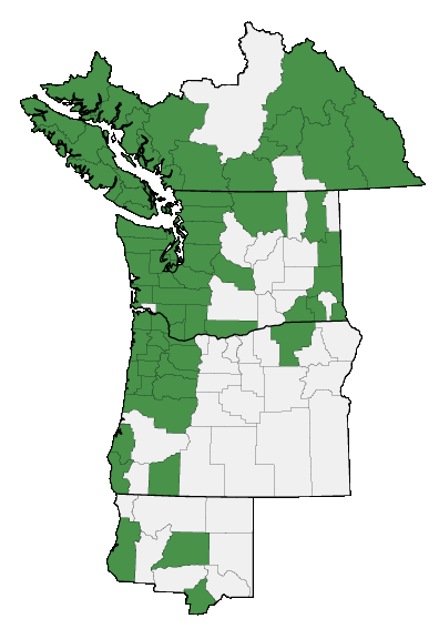 Map of where plant is found